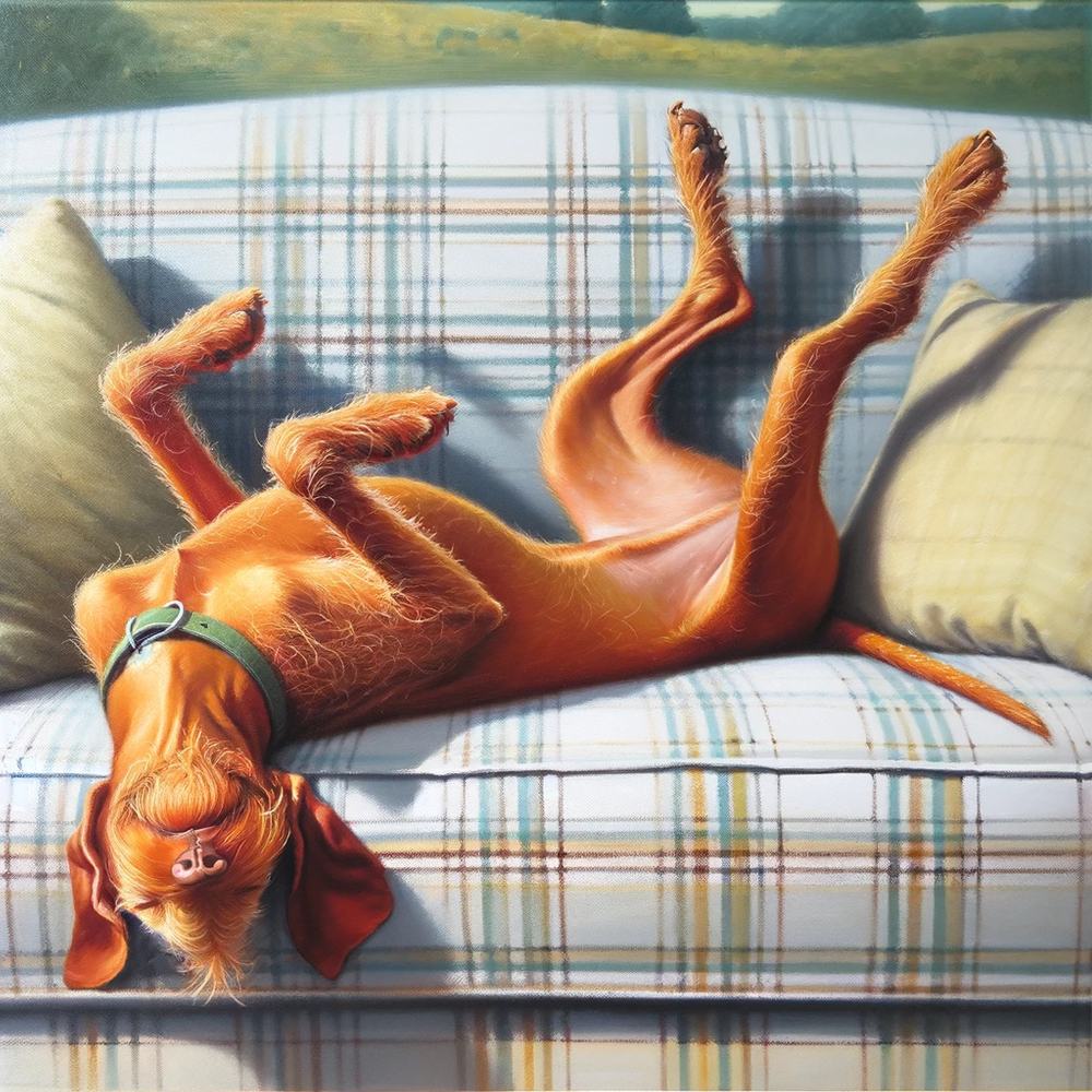 2026 Wire Hair Vizsla Calendar (A3) Spring Cover