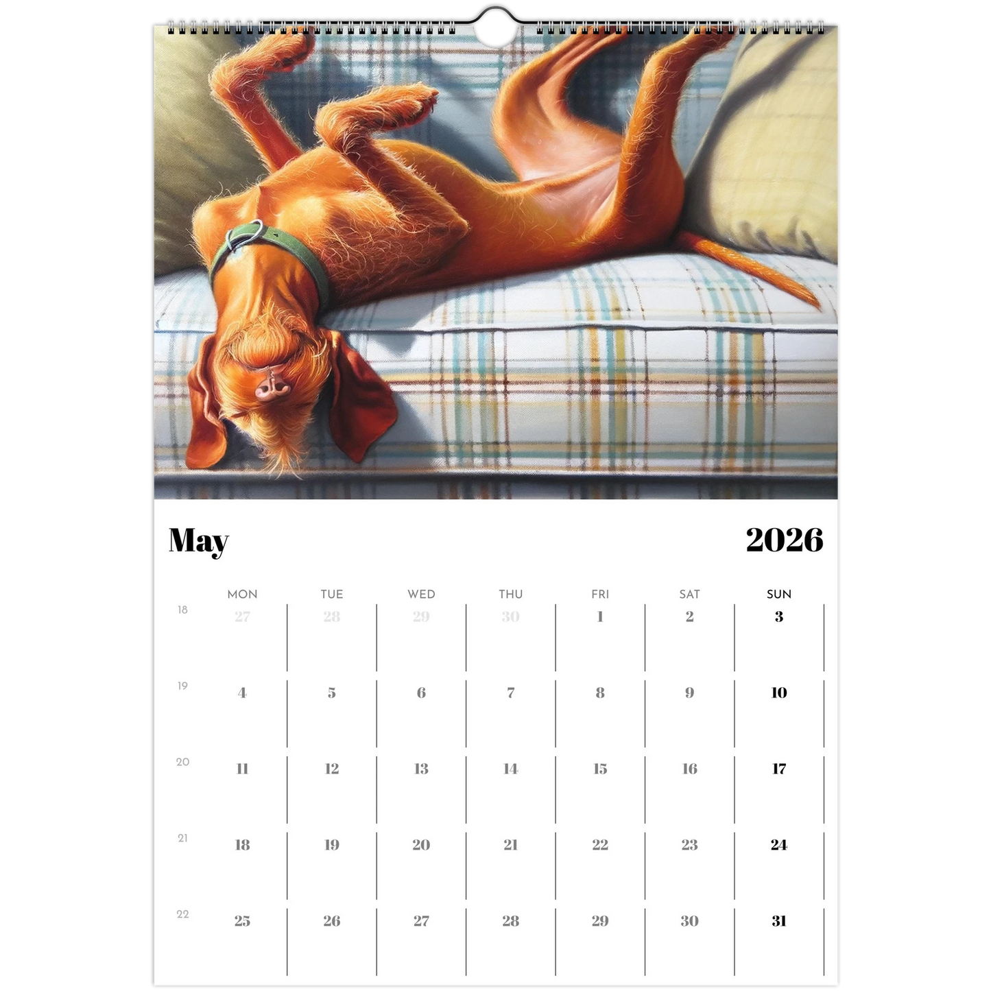 2092c89b-dbcb-49f7-963b-e451f95ec10a