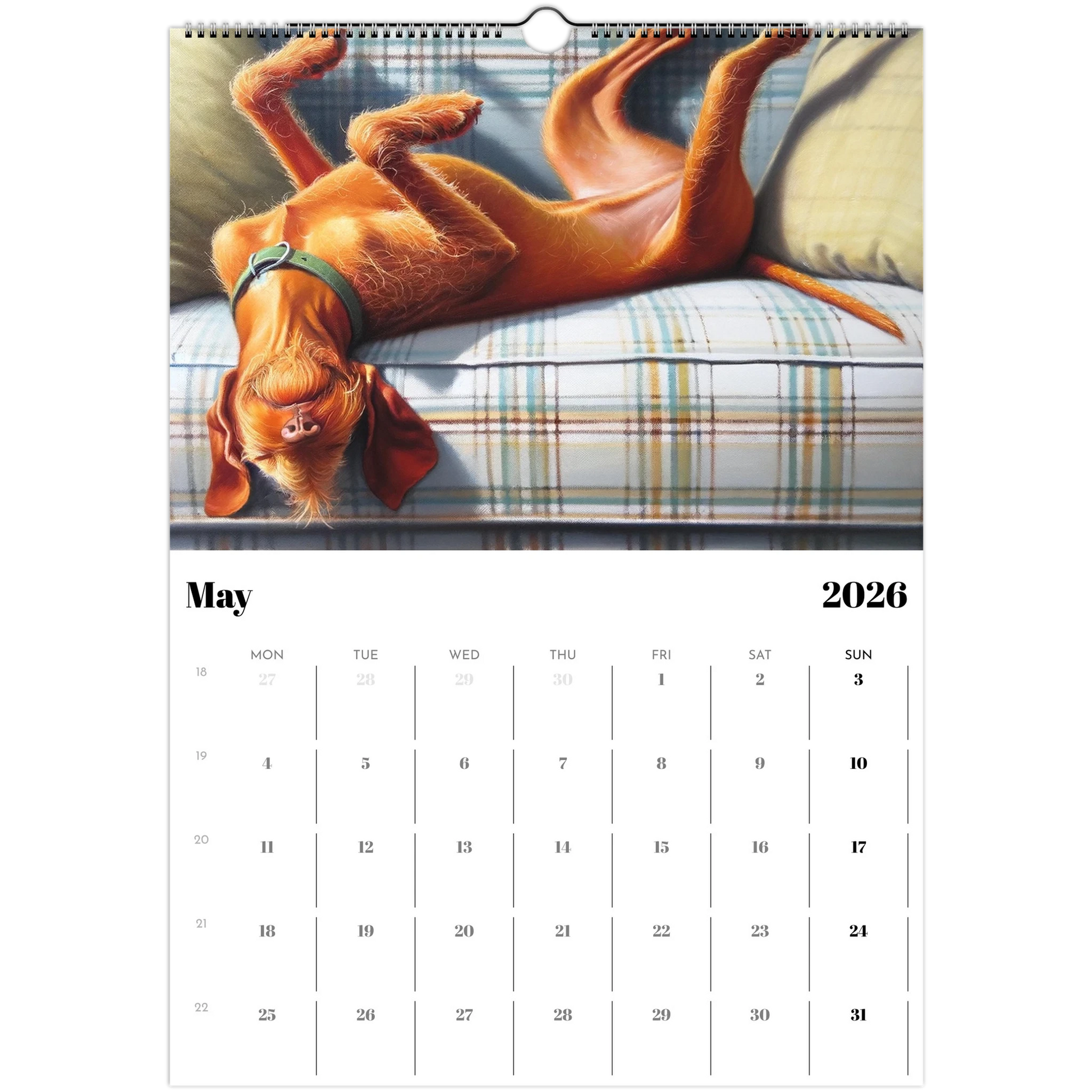 2092c89b-dbcb-49f7-963b-e451f95ec10a