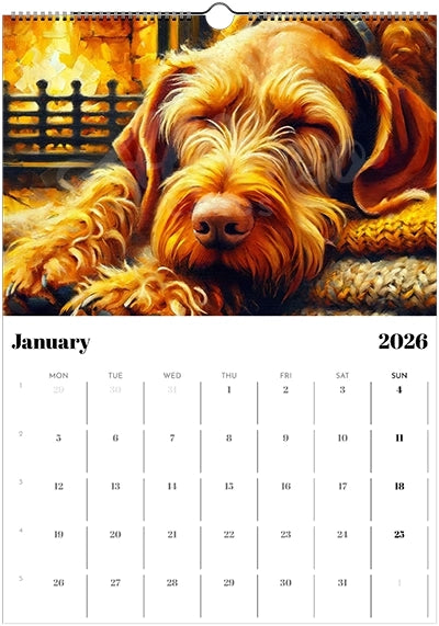2026 Wire Hair Vizsla Calendar (A3) Spring Cover