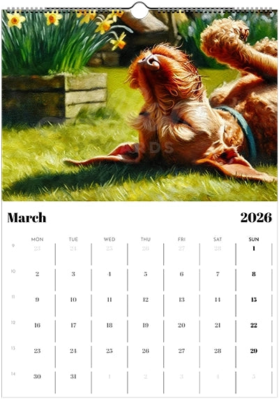 2026 Wire Hair Vizsla Calendar (A3) Spring Cover