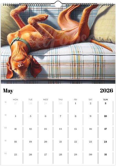 2026 Wire Hair Vizsla Calendar (A3) Spring Cover